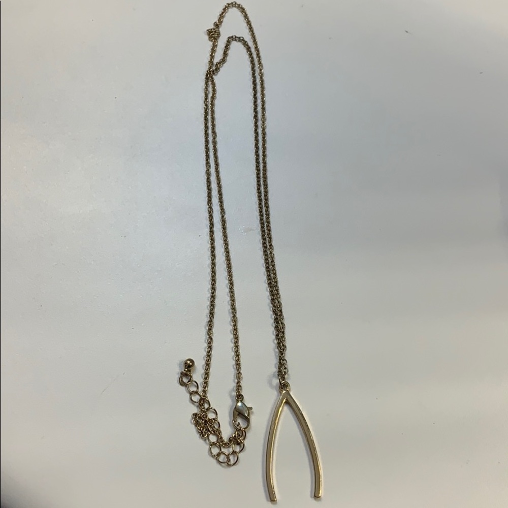 ⚡️ 3 for 30 ⚡️ Wishbone Necklace